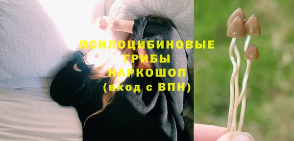 соль ск Аркадак