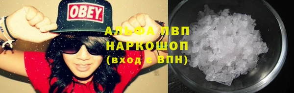 ПСИЛОЦИБИНОВЫЕ ГРИБЫ Арсеньев