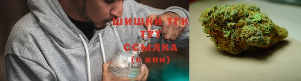 ПСИЛОЦИБИНОВЫЕ ГРИБЫ Арсеньев