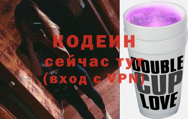 ПСИЛОЦИБИНОВЫЕ ГРИБЫ Арсеньев