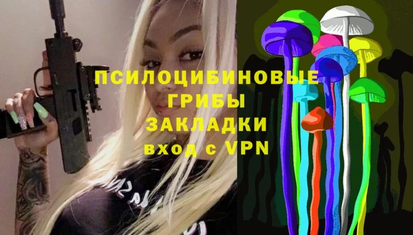 ПСИЛОЦИБИНОВЫЕ ГРИБЫ Арсеньев