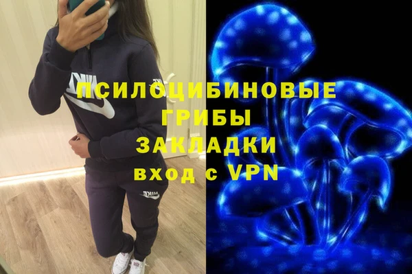 соль ск Аркадак