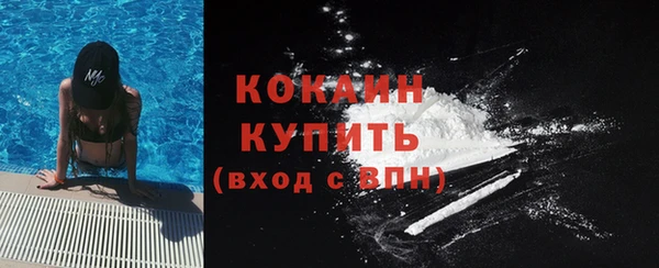 ПСИЛОЦИБИНОВЫЕ ГРИБЫ Арсеньев